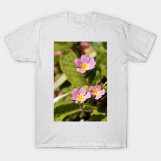 Pink primroses T-Shirt